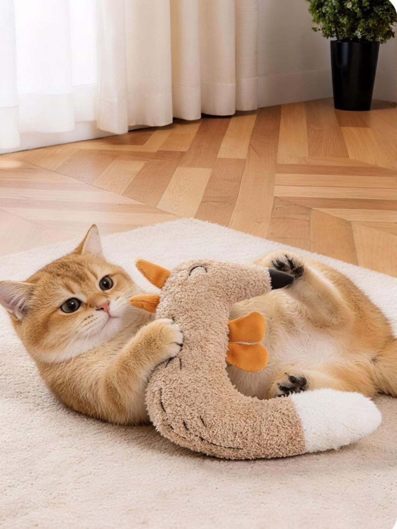 Duck & Fox Design Pet Plush Toys