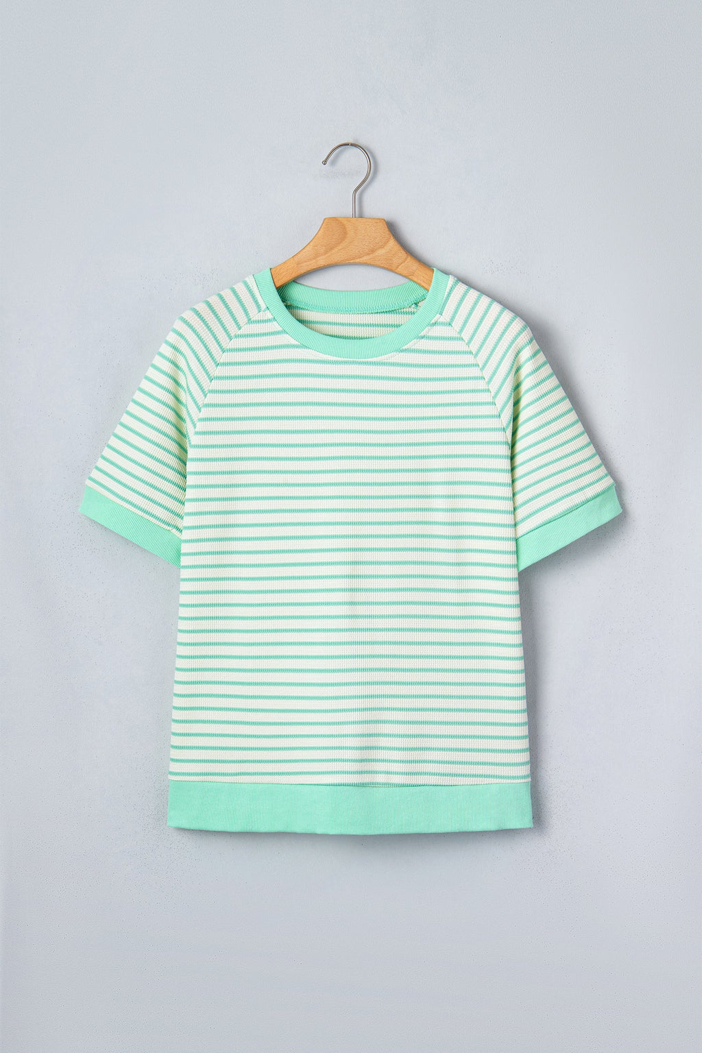 Green Stripe Colorblock Trim Round Neck Short Sleeve Tee