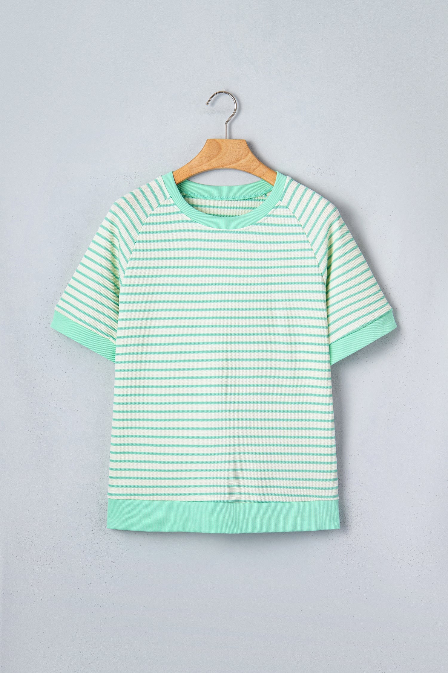 Green Stripe Colorblock Trim Round Neck Short Sleeve Tee