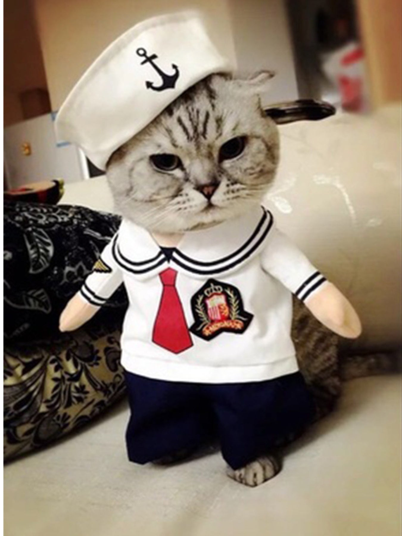 Quirky Pet Jumpsuit