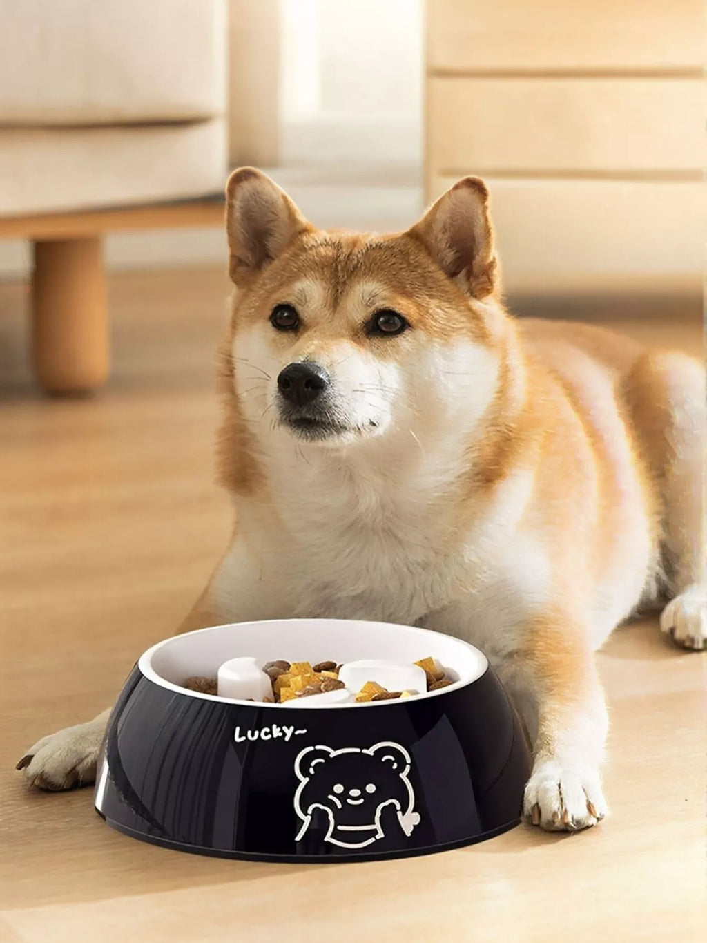 Cute Cartoon Pattern Pet Bowl