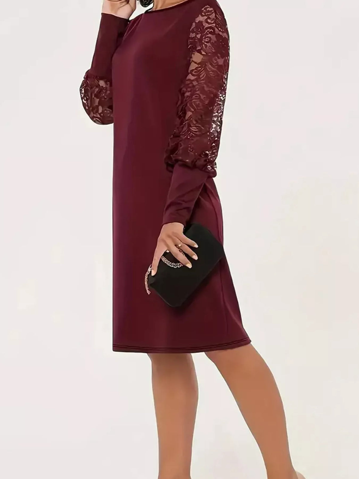 Lace Lantern Sleeve Dress