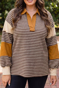 Brown Stripe Colorblock Detail Collar V Neck Plus Size Long Sleeve Top