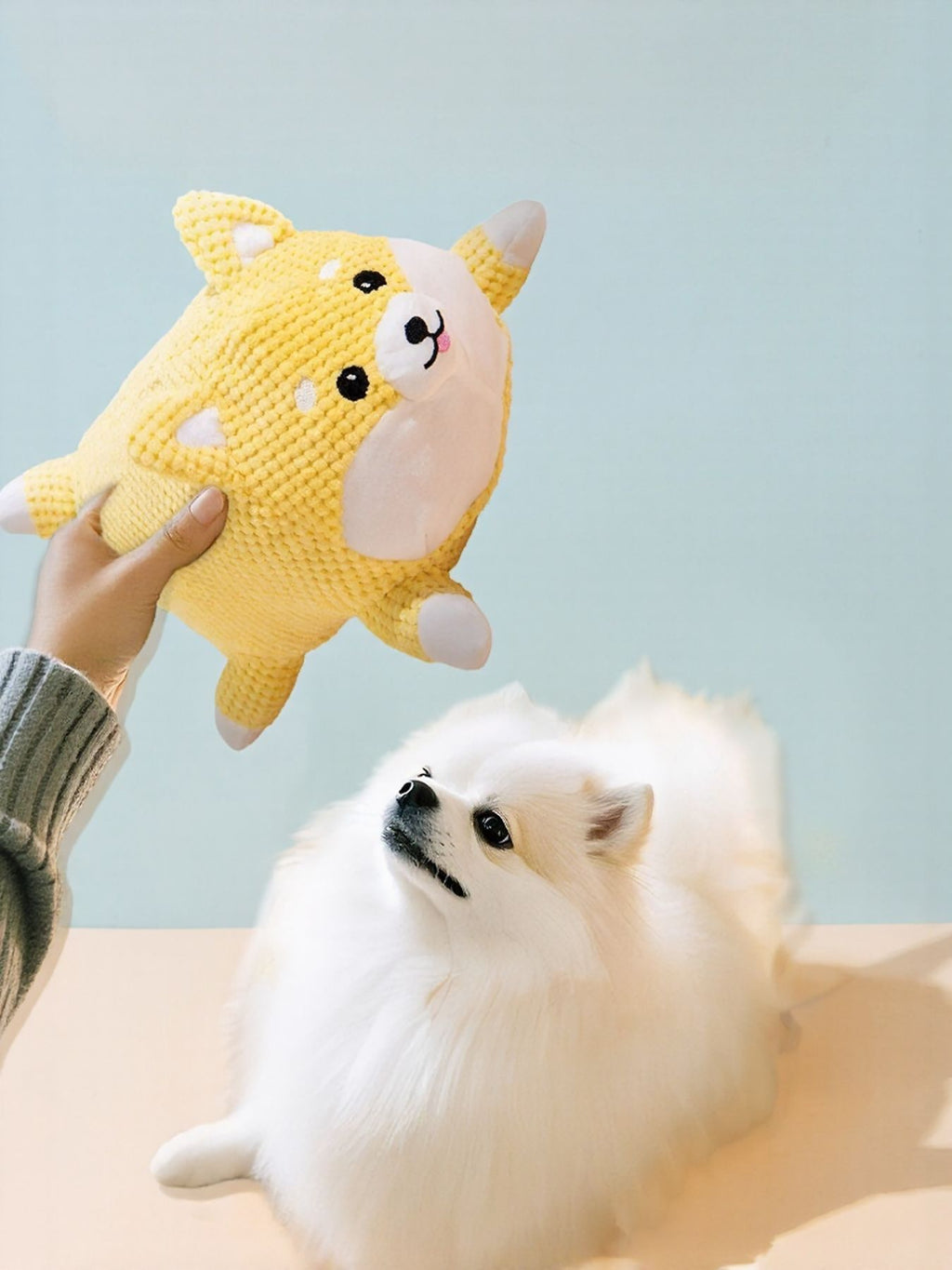 Squeaky Pet Plush Toy