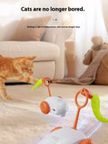 Interactive Self-Rotating Pet Teaser Toy