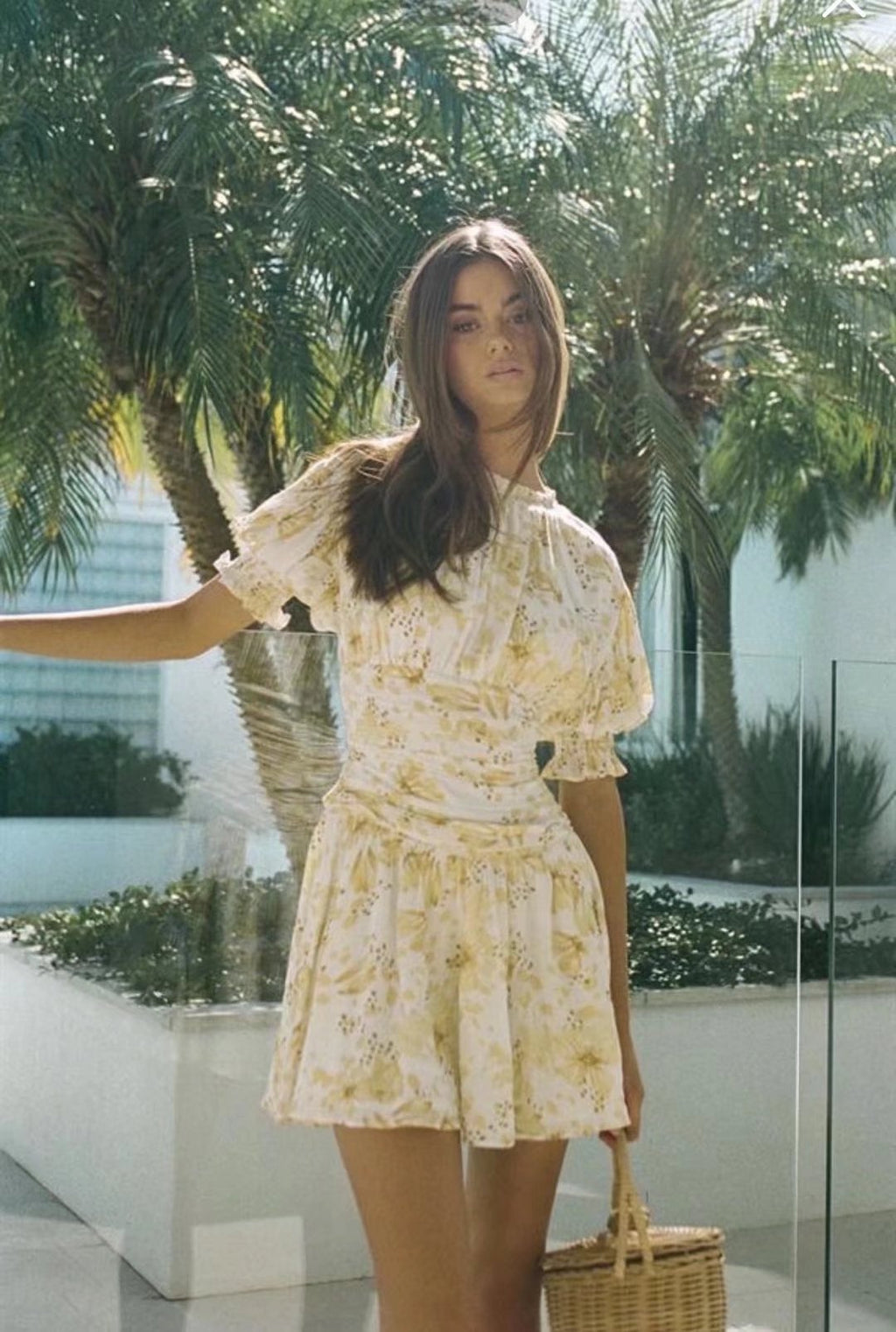 Short Spring Elastic Pleated Pastoral Dress