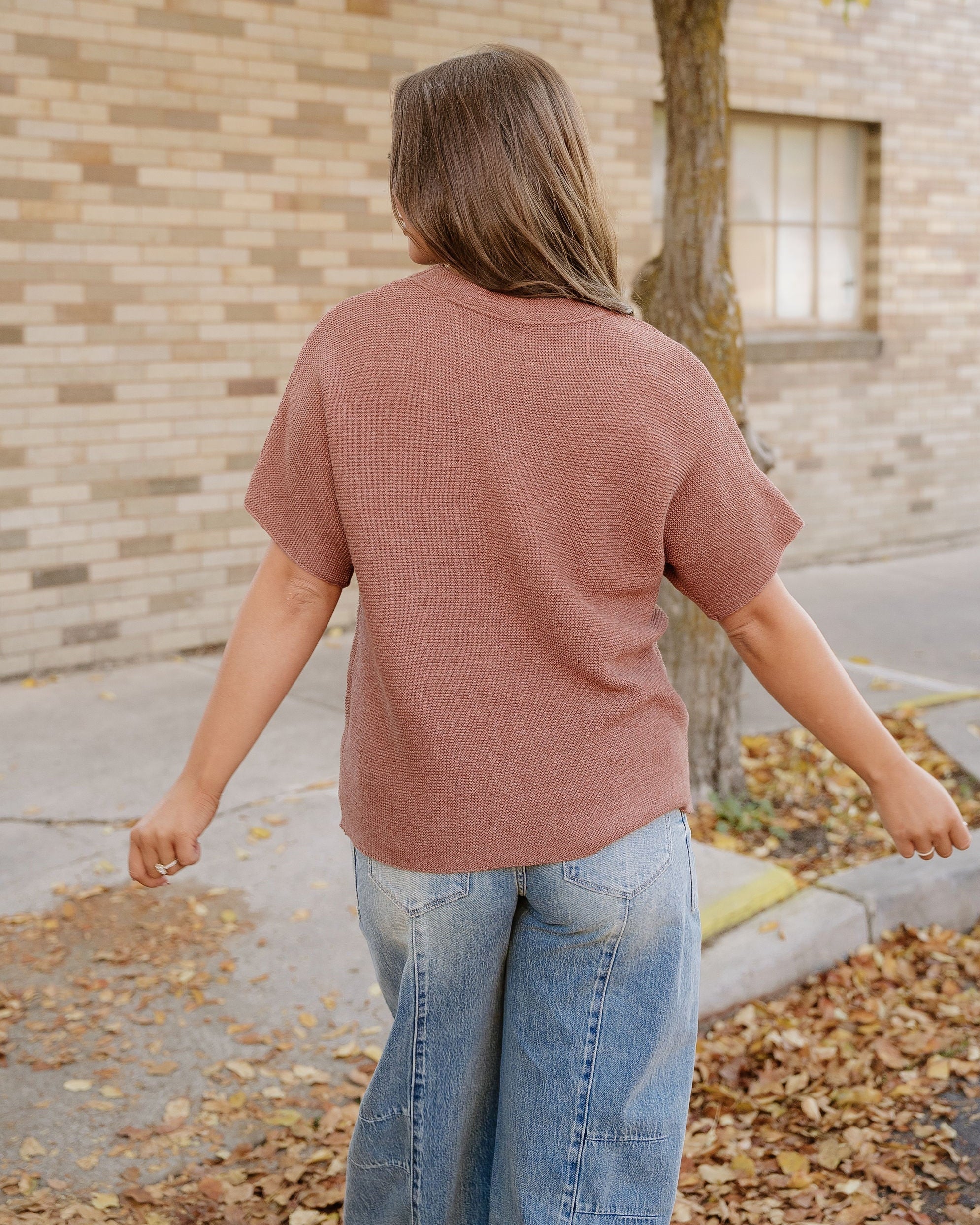 Maya Mock Neck Short Sleeve Sweater - Brown