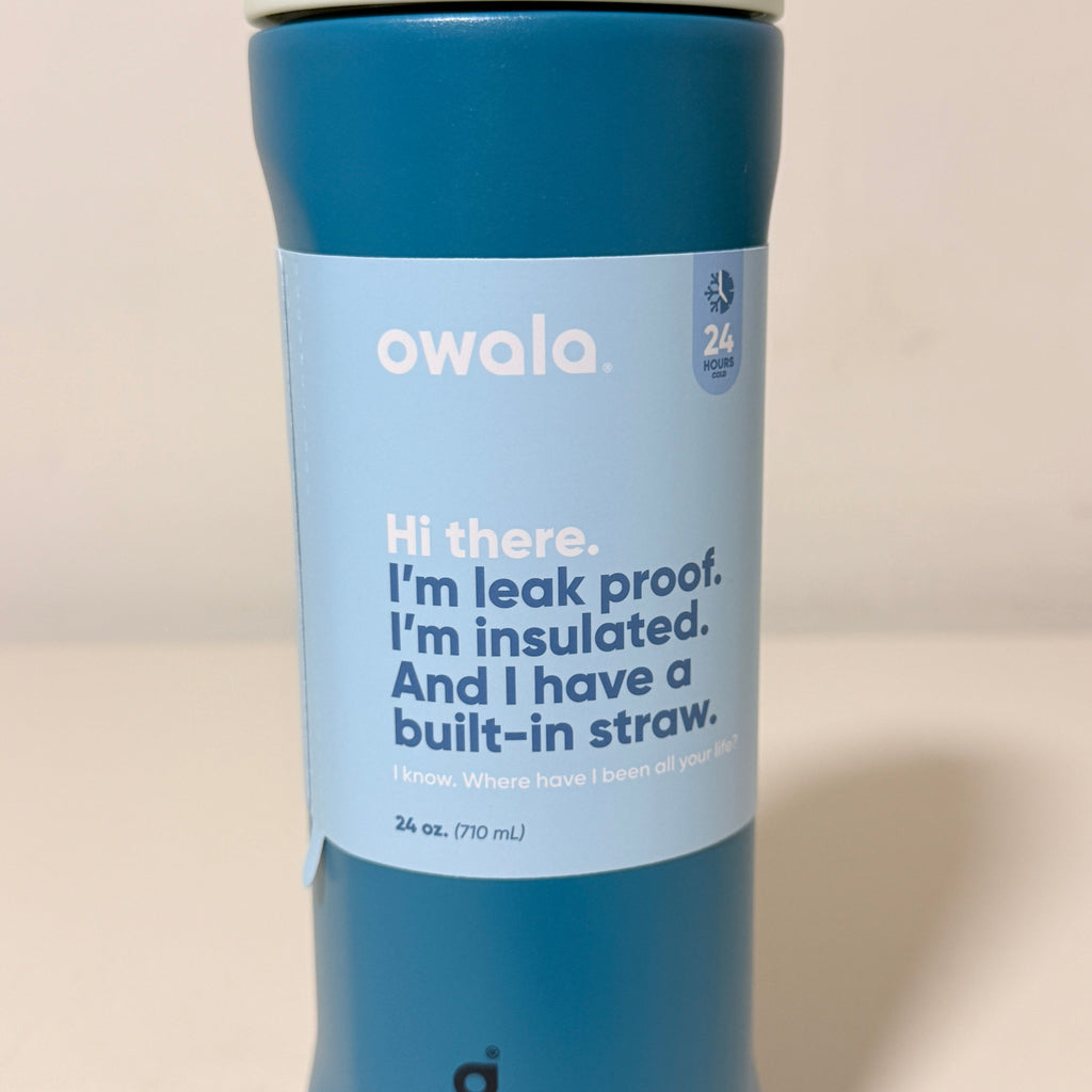Owala FreeSip 24 oz Insulated Stainless Steel Water Bottle with Built-In Straw, Blue