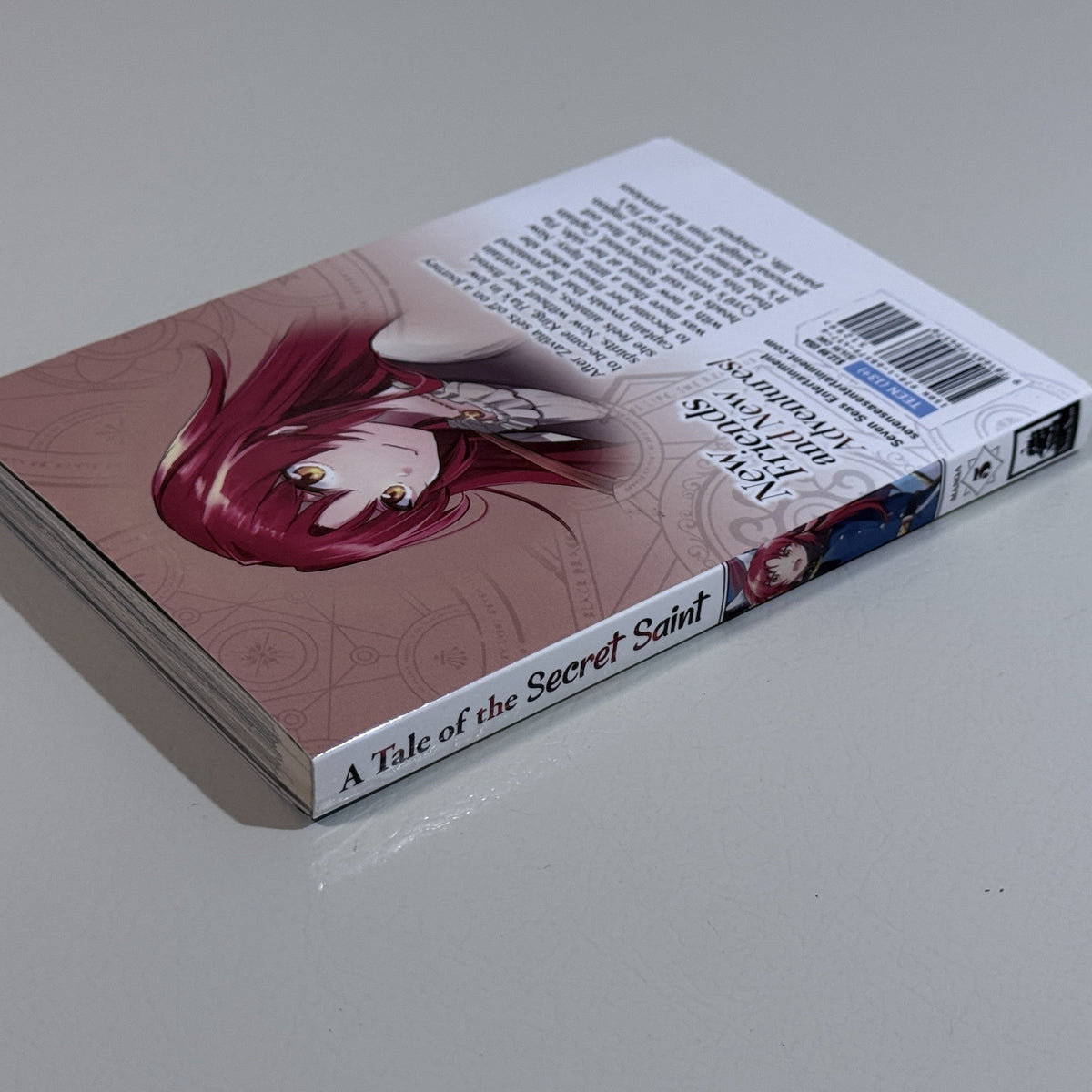 A Tale of the Secret Saint Manga Vol. 5 Paperback Seven Seas