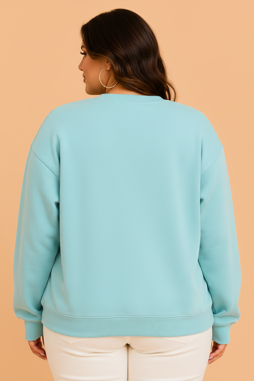 Plus Size Western Ain't My First Rodeo Embroidered Sweatshirt