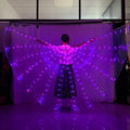 LED Light Up Belly Dance Wings Glowing Fairy Wings Luminous Butterfly Isis Wing Performance Dance Party Rave Costumes
