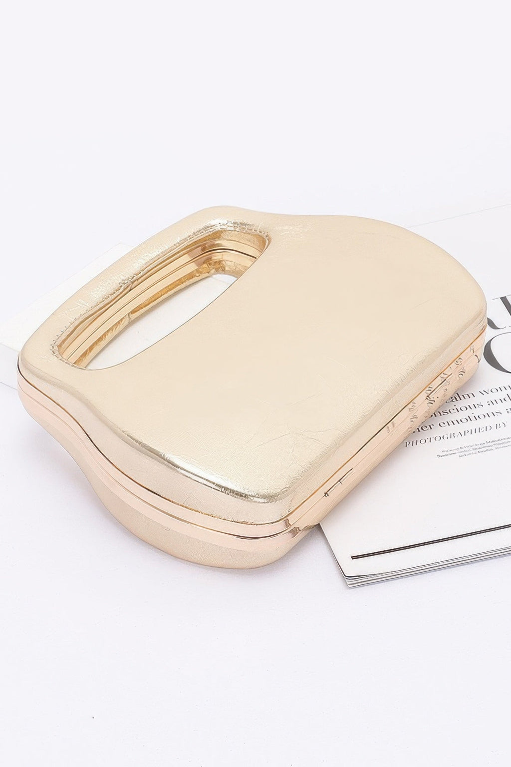 Metallic Case Bag