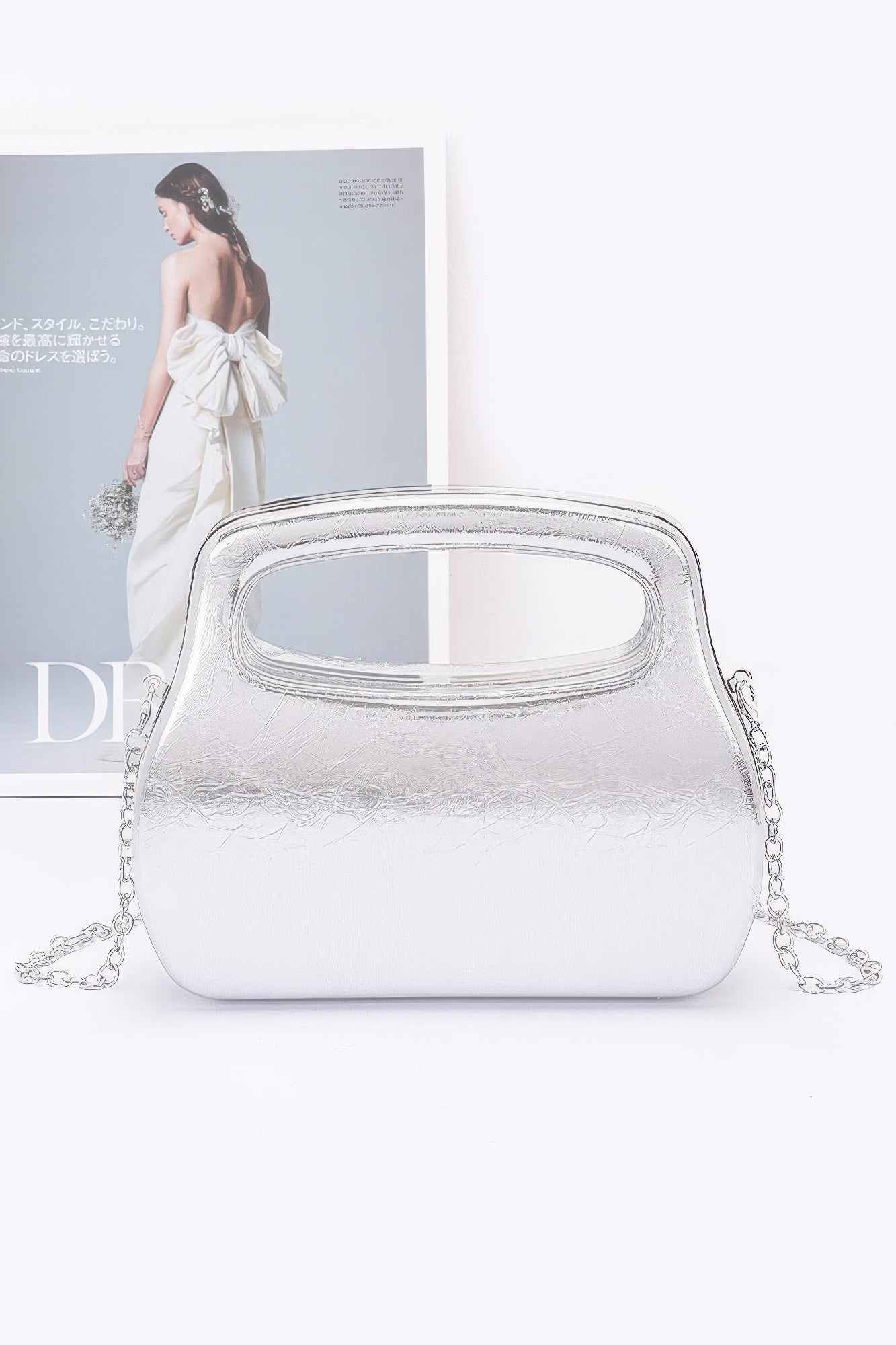 Metallic Case Bag