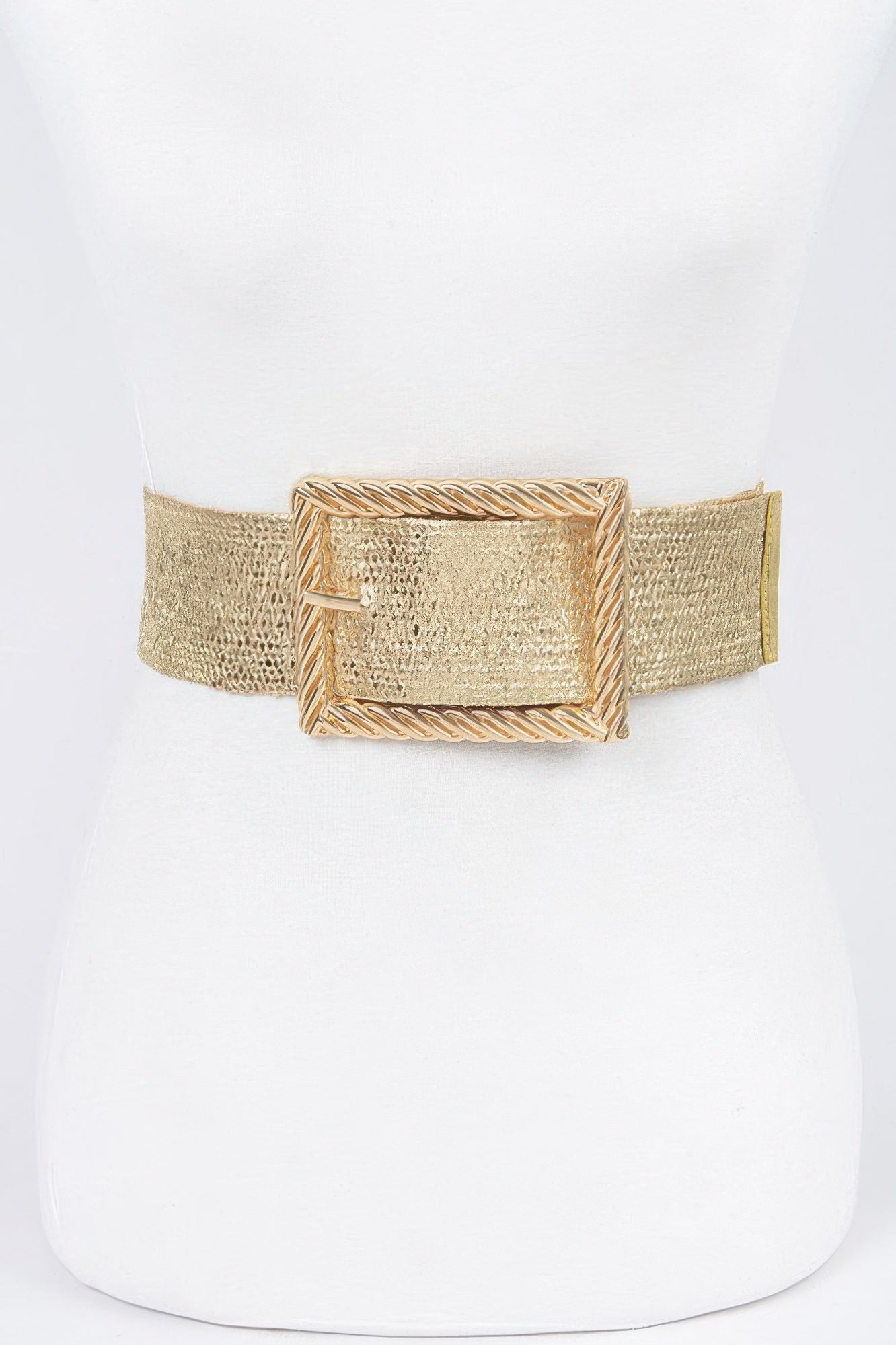 Wide Metal Buckle Plus Size Clear Belt