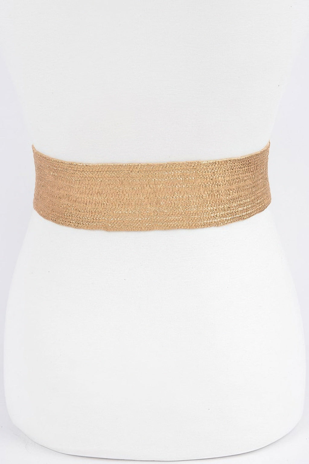 Wide Metal Buckle Clear Belt