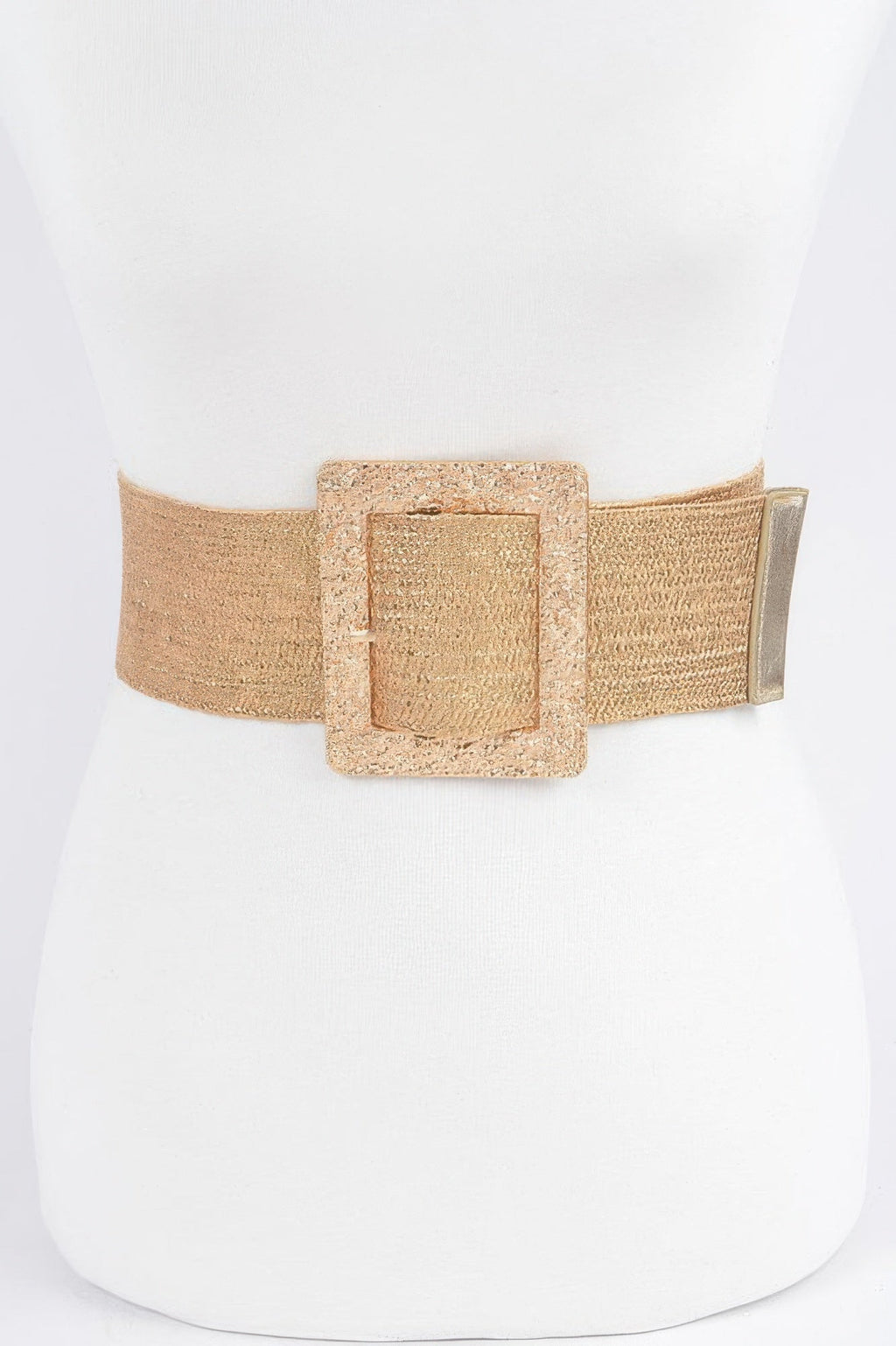 Wide Metal Buckle Clear Belt