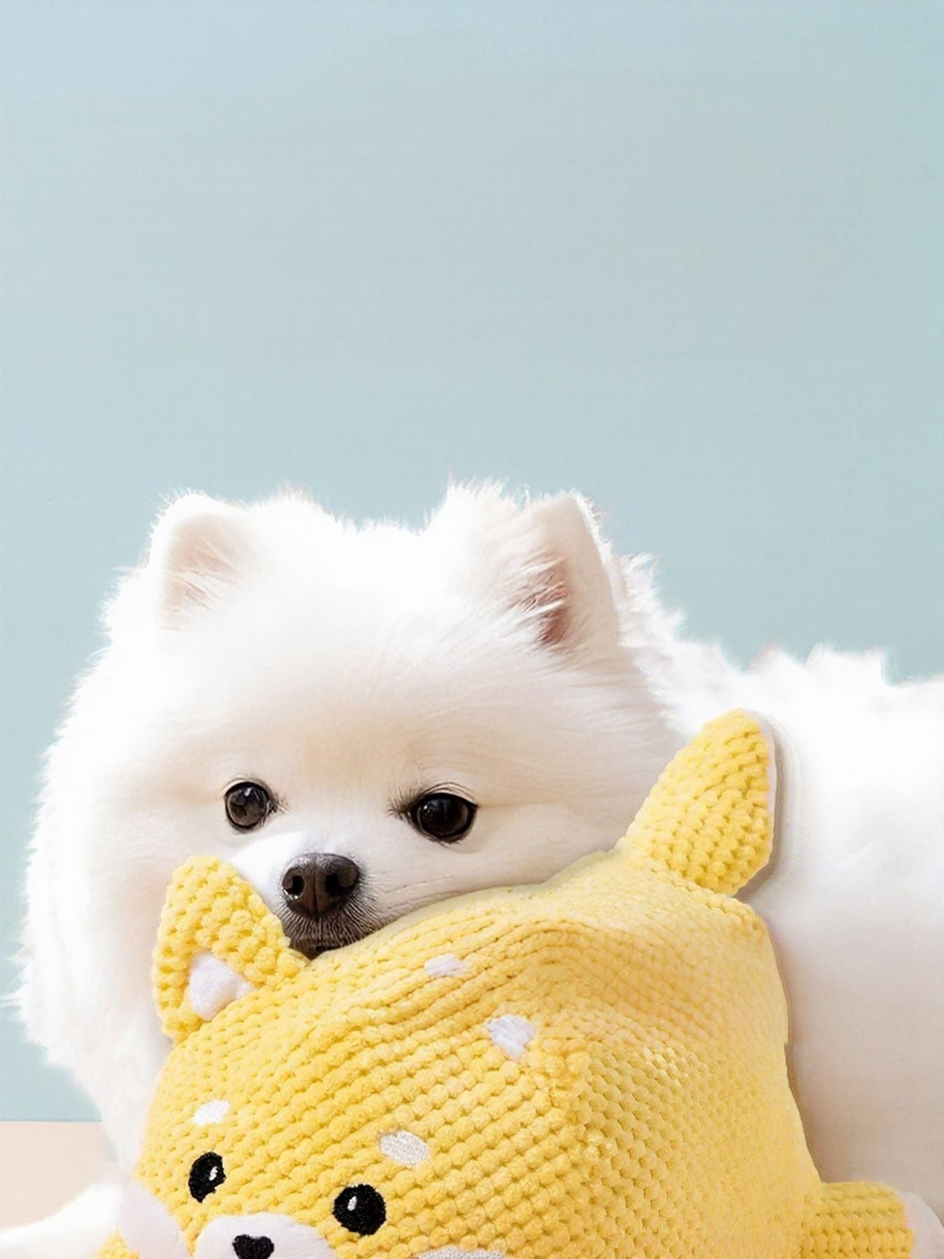 Squeaky Pet Plush Toy