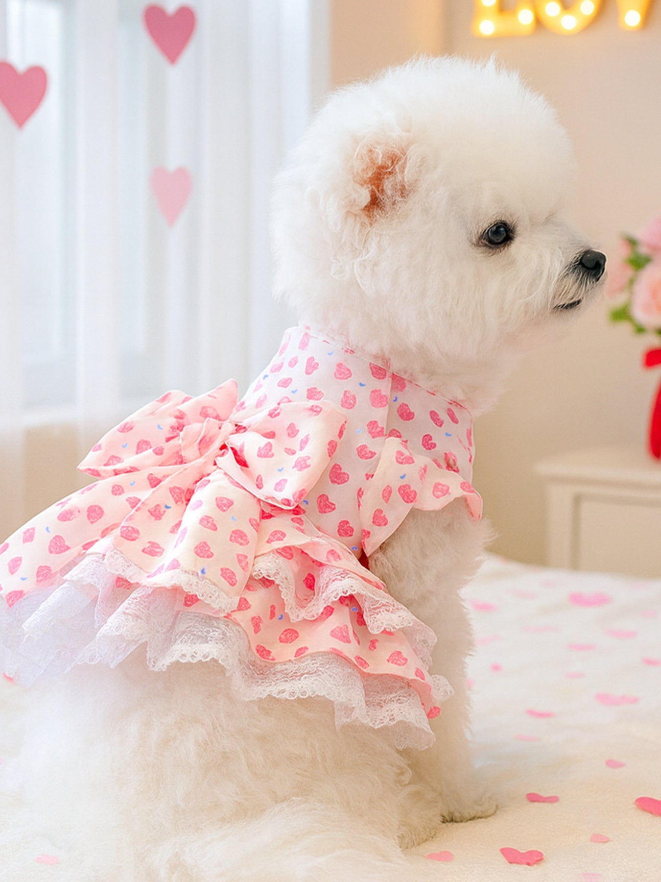 Bow Printed Pet Dress