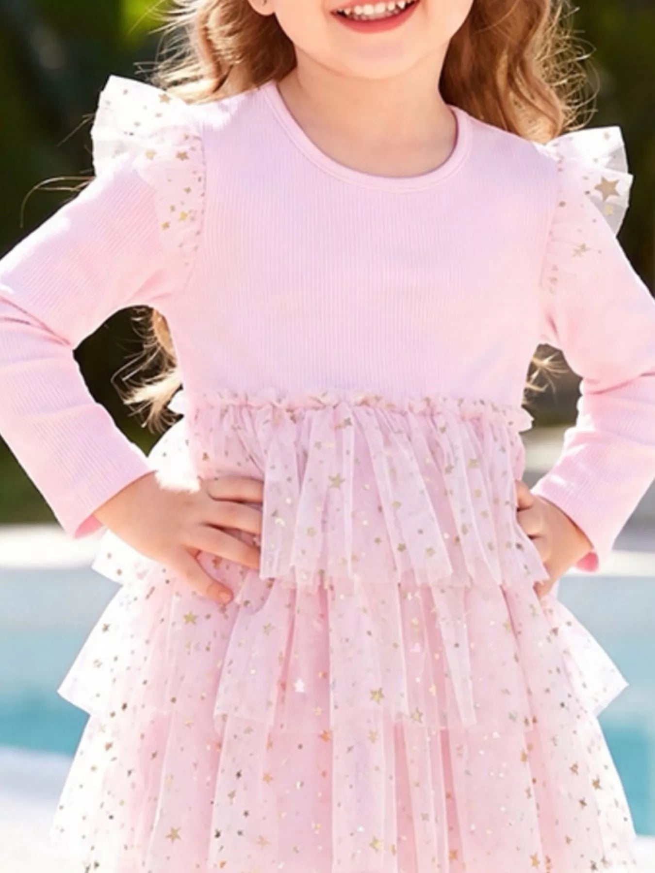Children's Long Sleeve Tulle Layered Dress