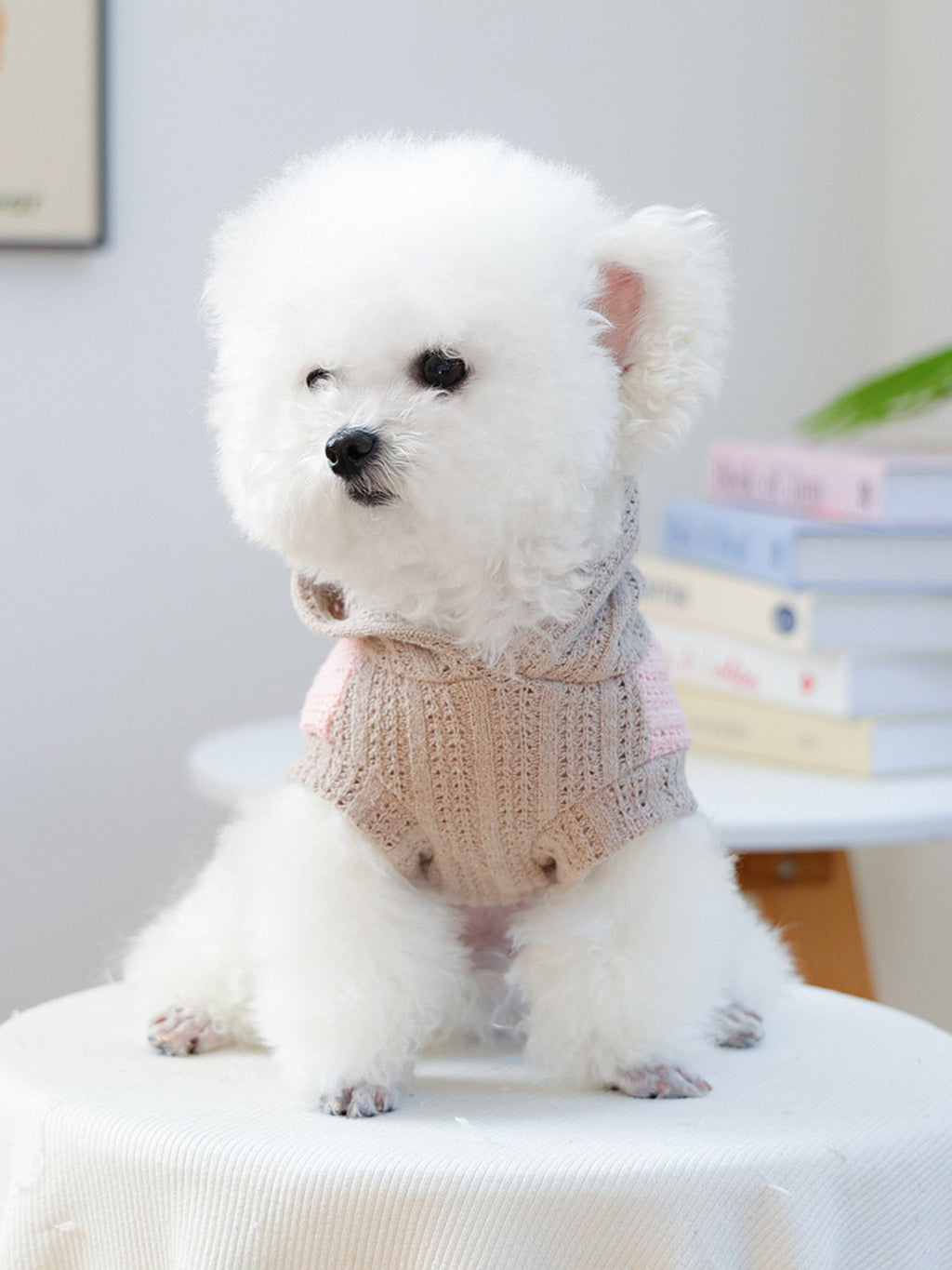 Flower Knitted Pet Hoodie