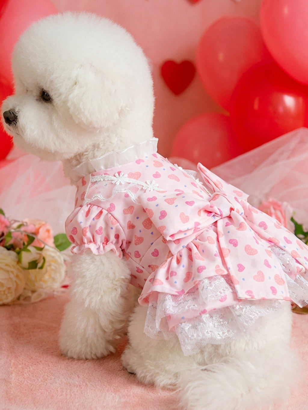 Bow Printed Pet Dress