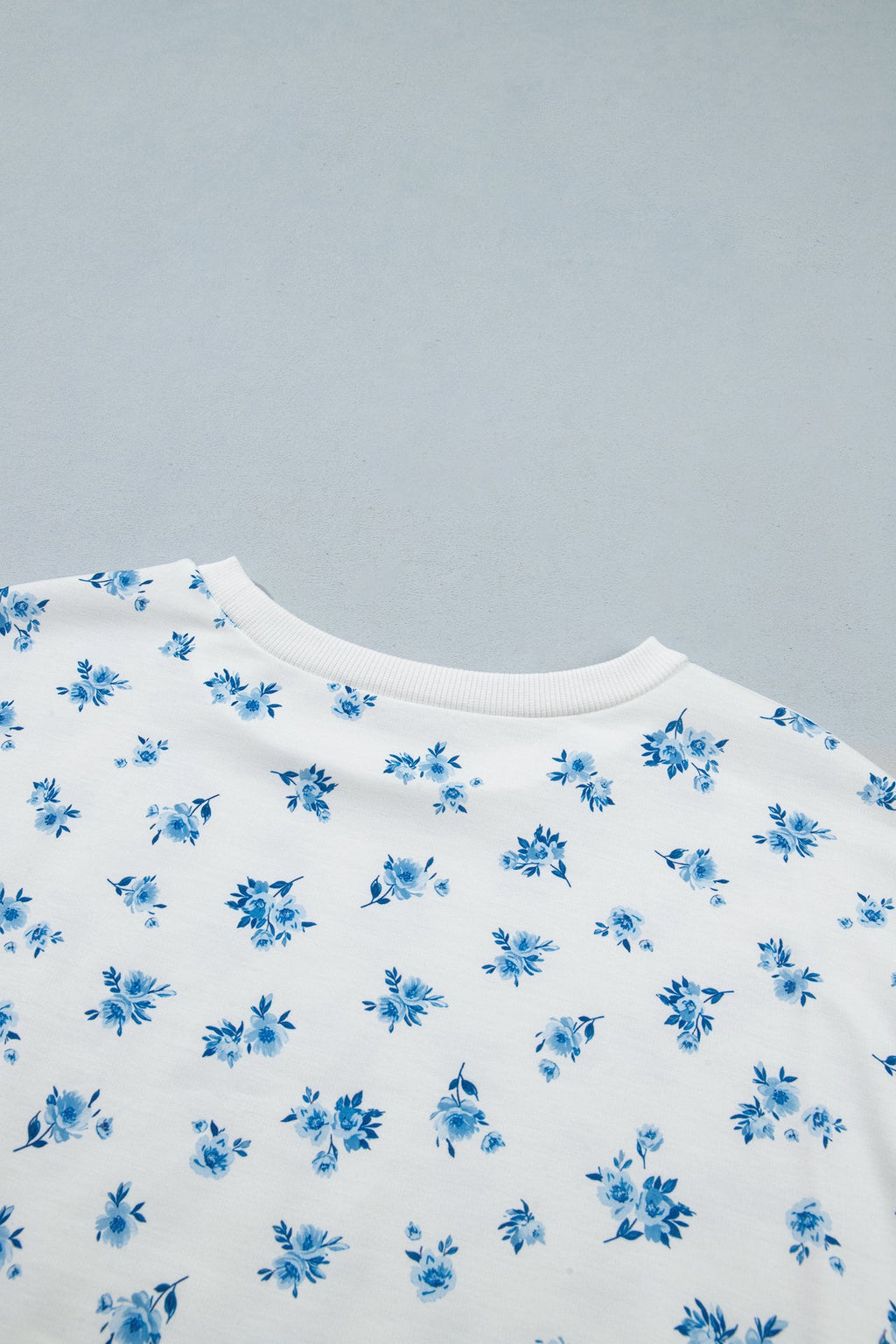 Sky Blue Floral Print Long Sleeve Top Elastic Waist Ruffle Hem Shorts 2pcs Set