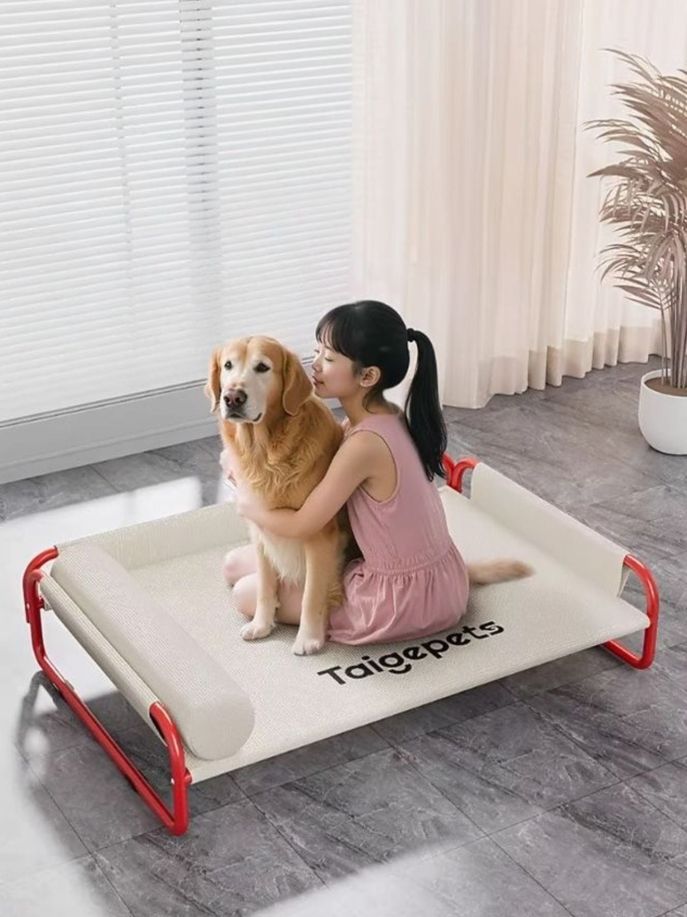 Foldable Pet Bed