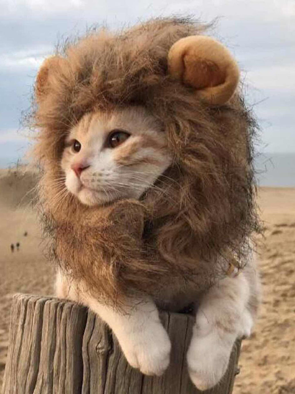 Lion Mane Pet Headwear