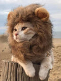 Lion Mane Pet Headwear