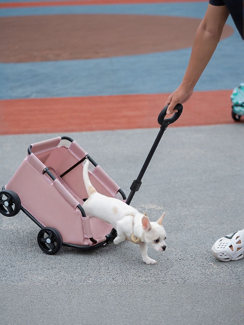 Portable Folding Pet Stroller Wagon