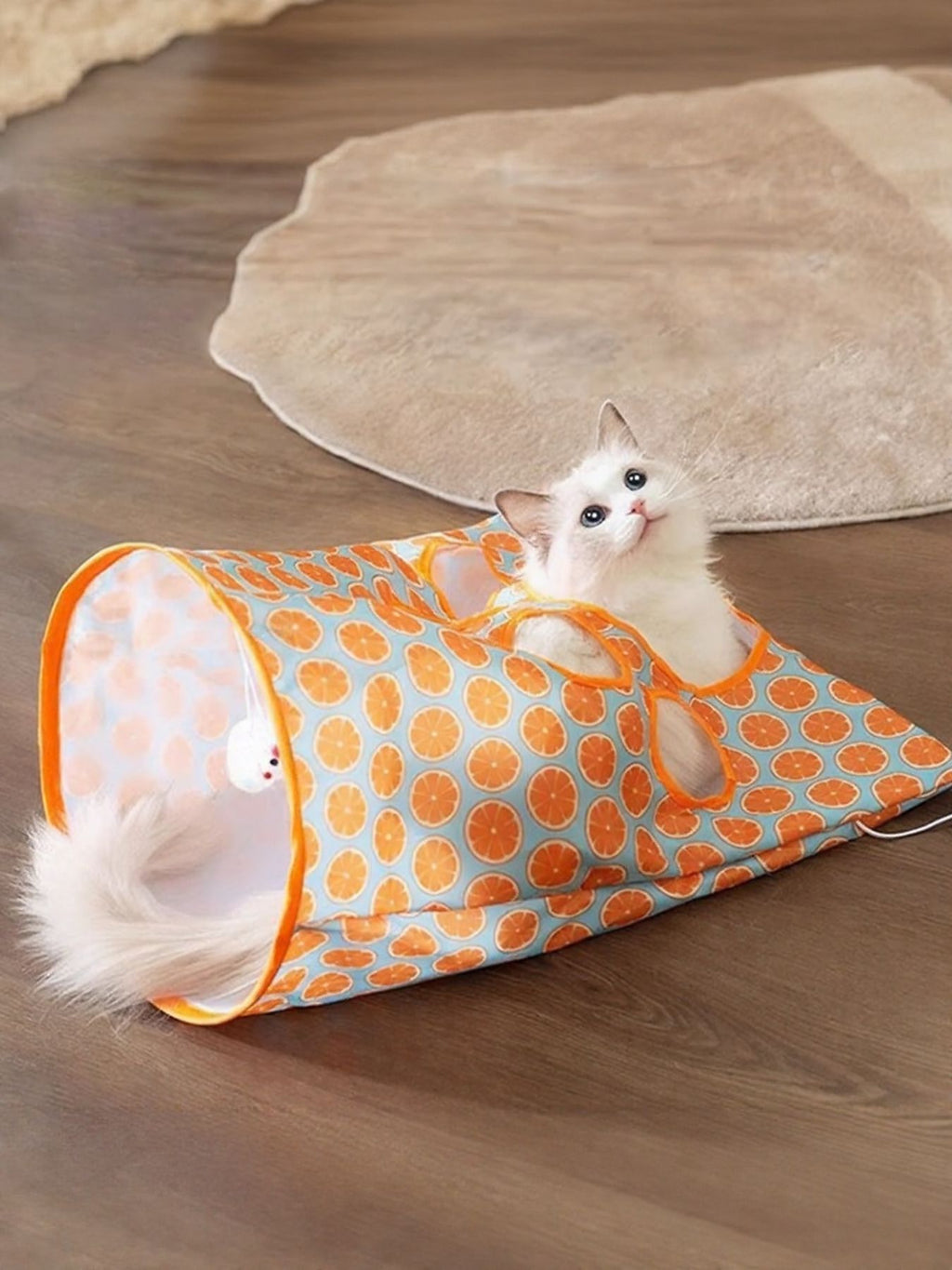 Collapsible Printed Cat Tunnel Toy