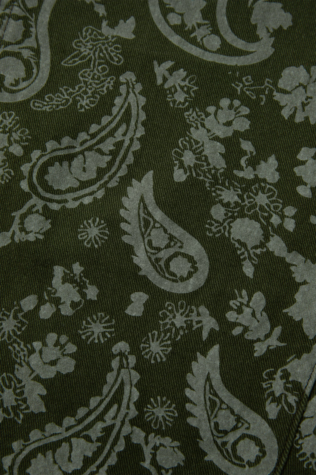 Green Paisley Print Harem Denim Pants