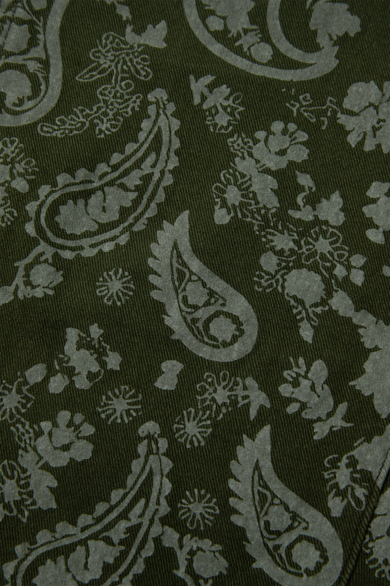 Green Paisley Print Harem Denim Pants