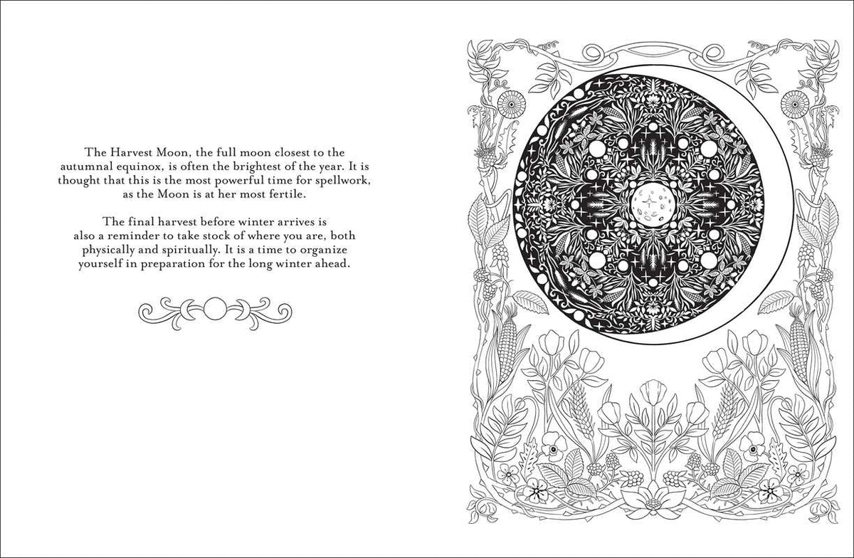 Believe in Magic Coloring Book by Claire Scully