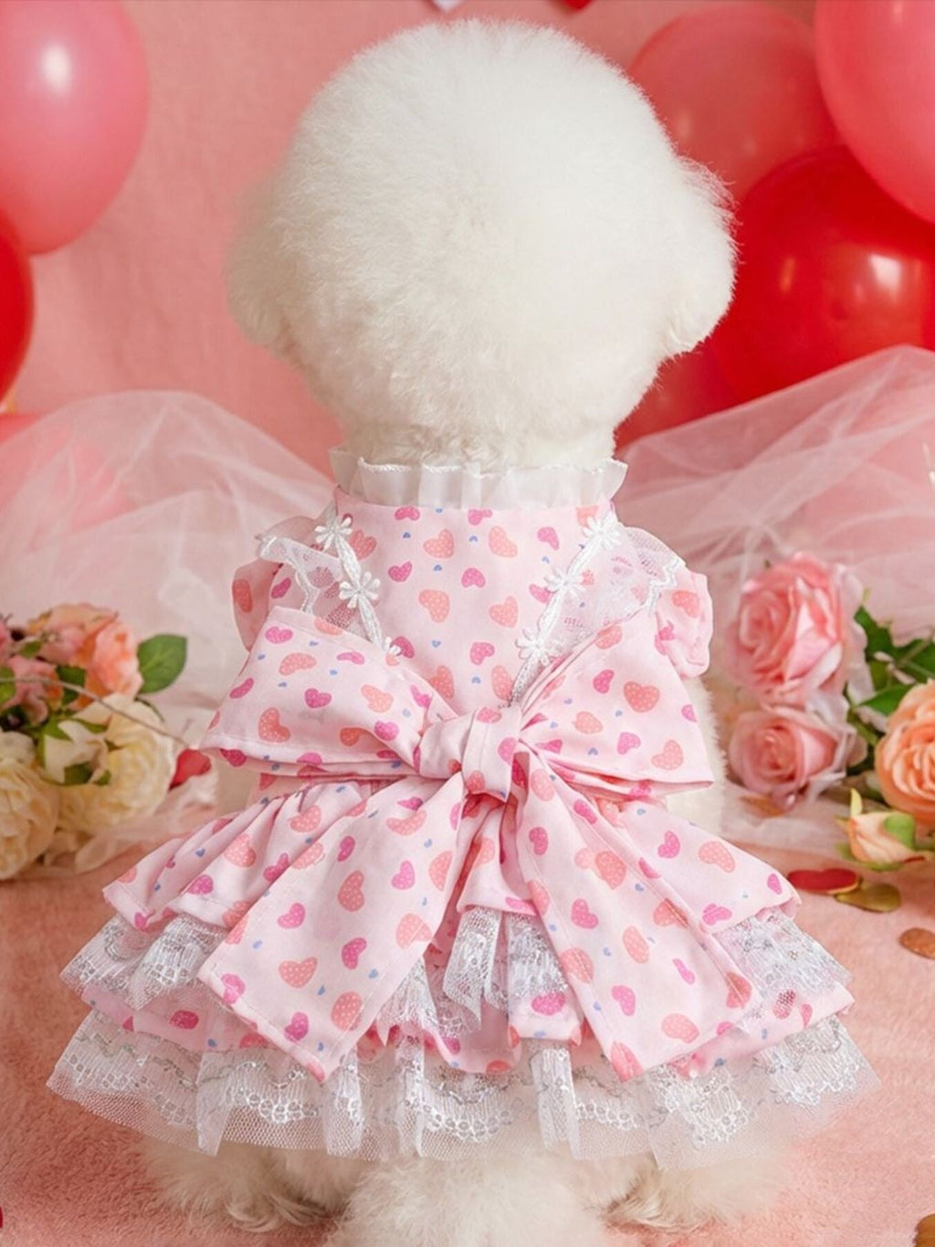 Bow Printed Pet Dress