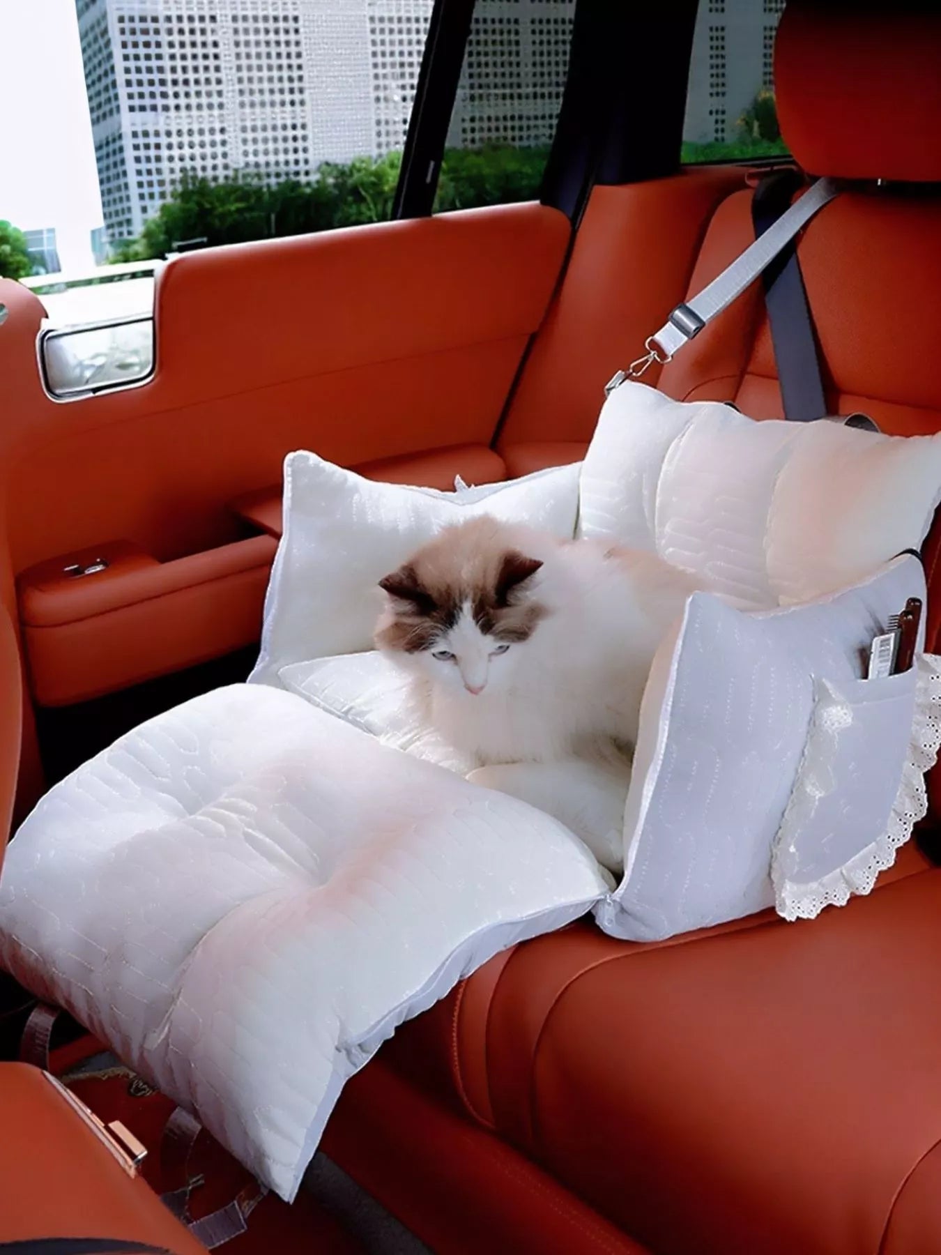 Comfortable & Secure Pet Car Seat Carrier