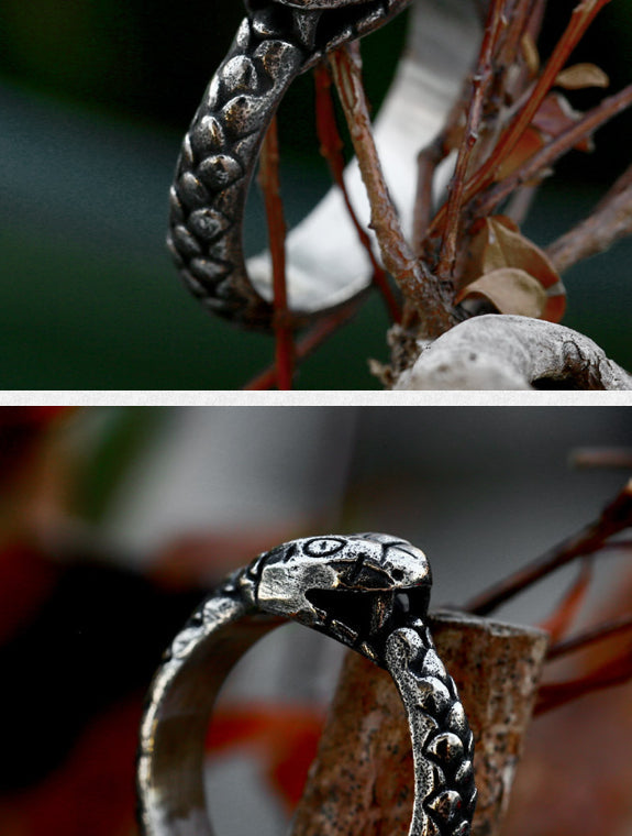 Stainless Steel Ouroboros Personalized Ring