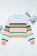 Stripe Ribbed Trim Crewneck Cropped Sweater