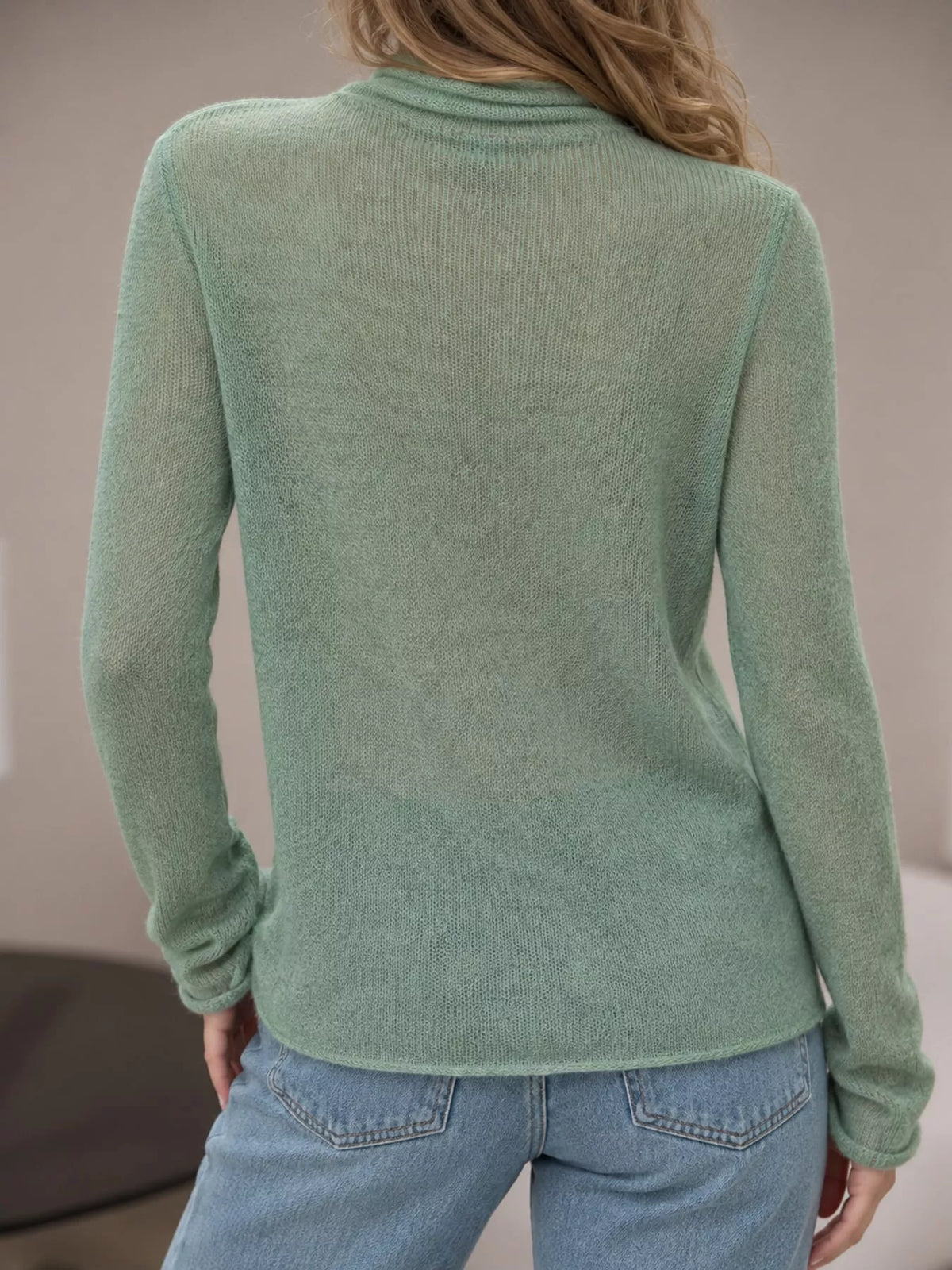 Sheer Turtleneck Knit Top