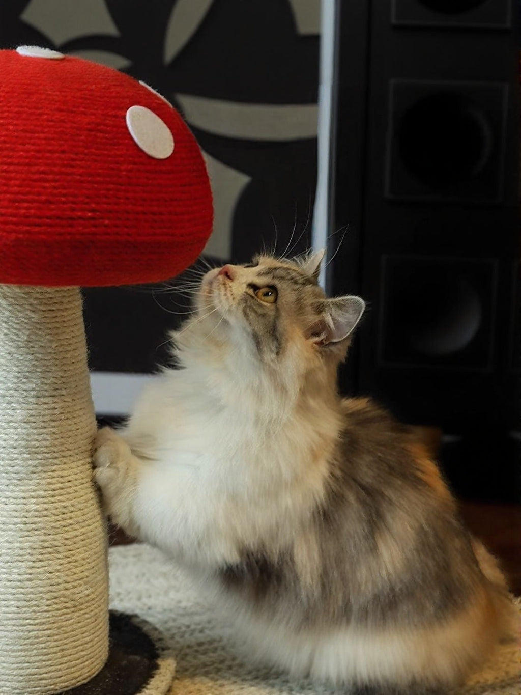 Mushroom-Shaped Cat Scratching Post
