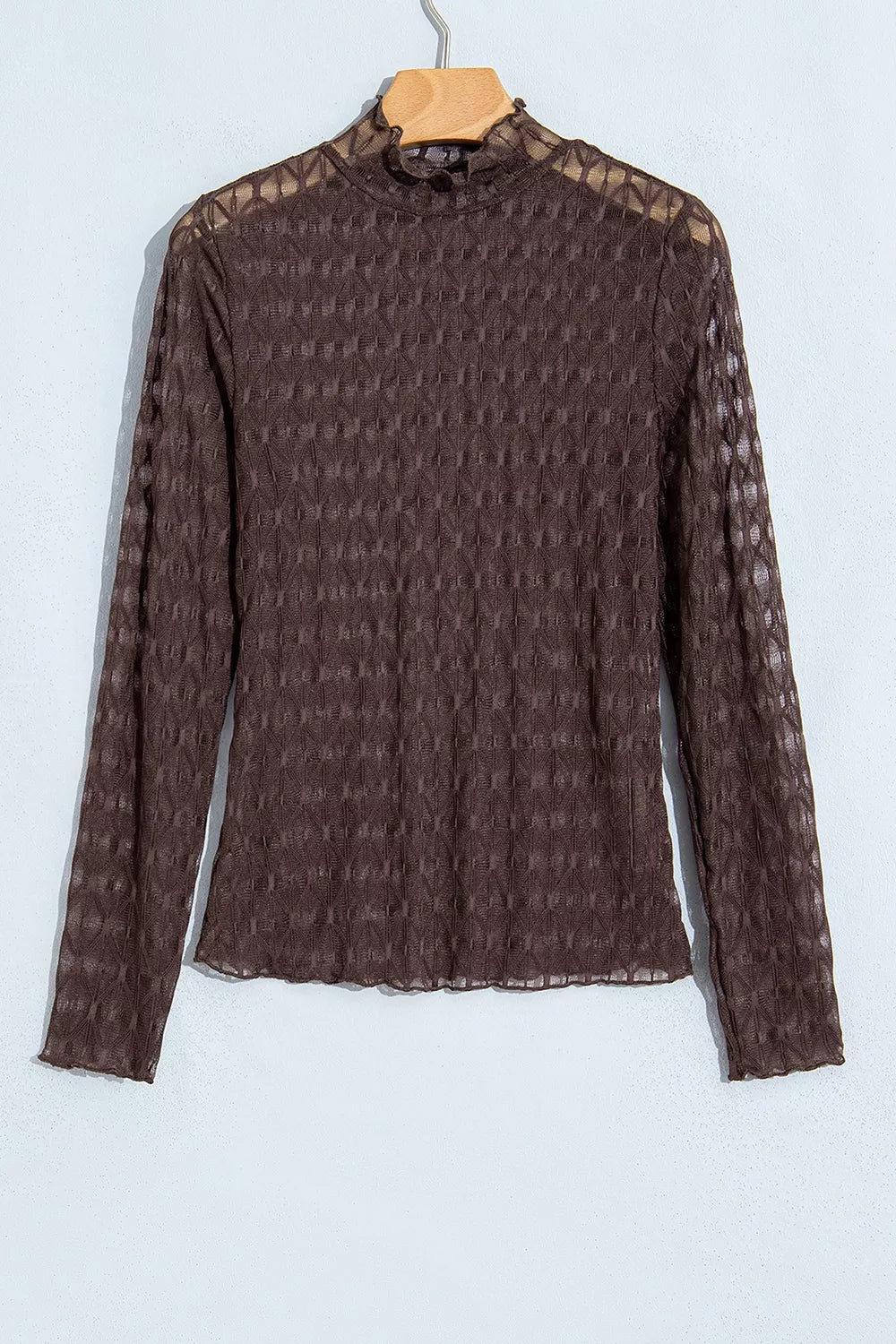 Sheer Textured Lace Stand Neck Long Sleeve Top
