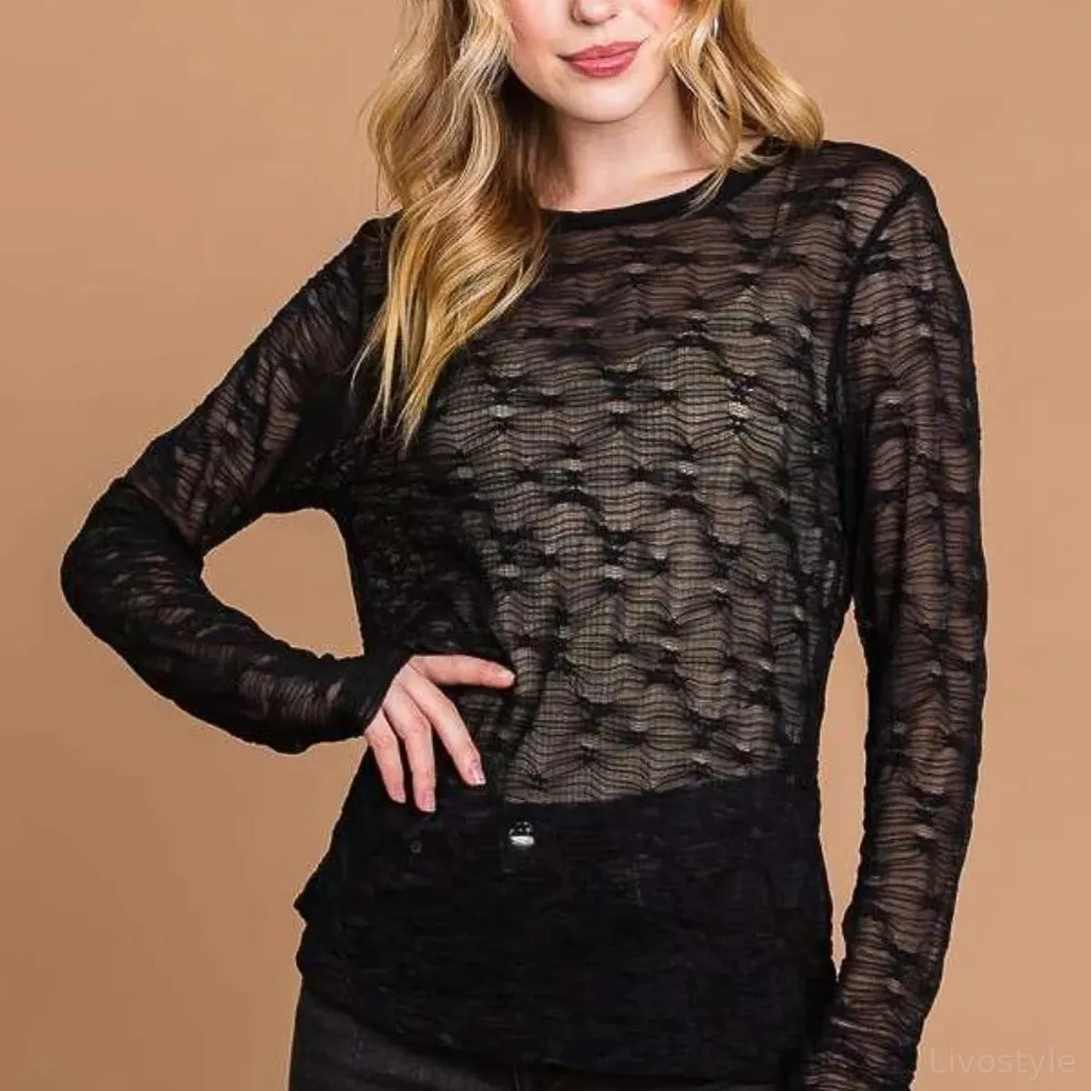 Mesh Perspective Long Sleeve Round Neck Top – Plus Size