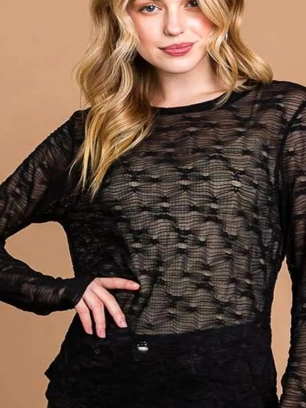 Mesh Perspective Long Sleeve Round Neck Top – Plus Size