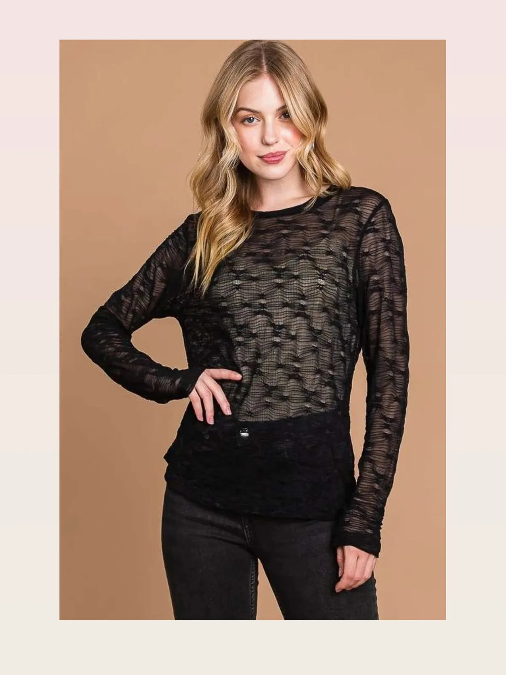 Mesh Perspective Long Sleeve Round Neck Top – Plus Size