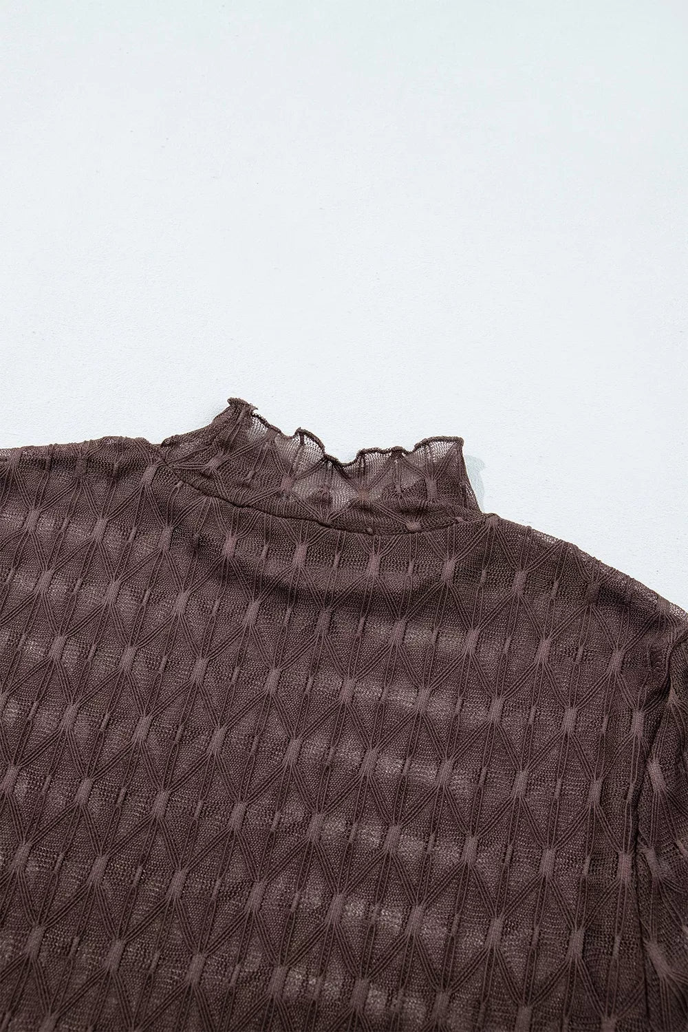 Sheer Textured Lace Stand Neck Long Sleeve Top