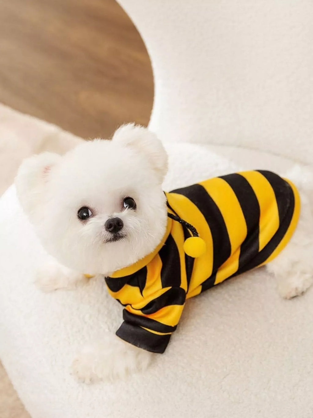 Soft Warm Pet Hoodie