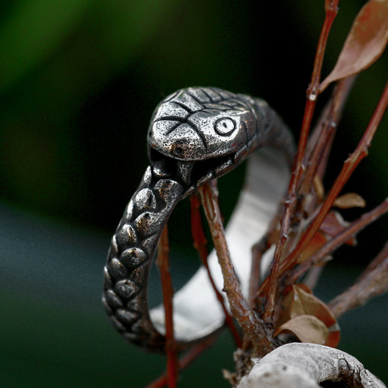 Stainless Steel Ouroboros Personalized Ring