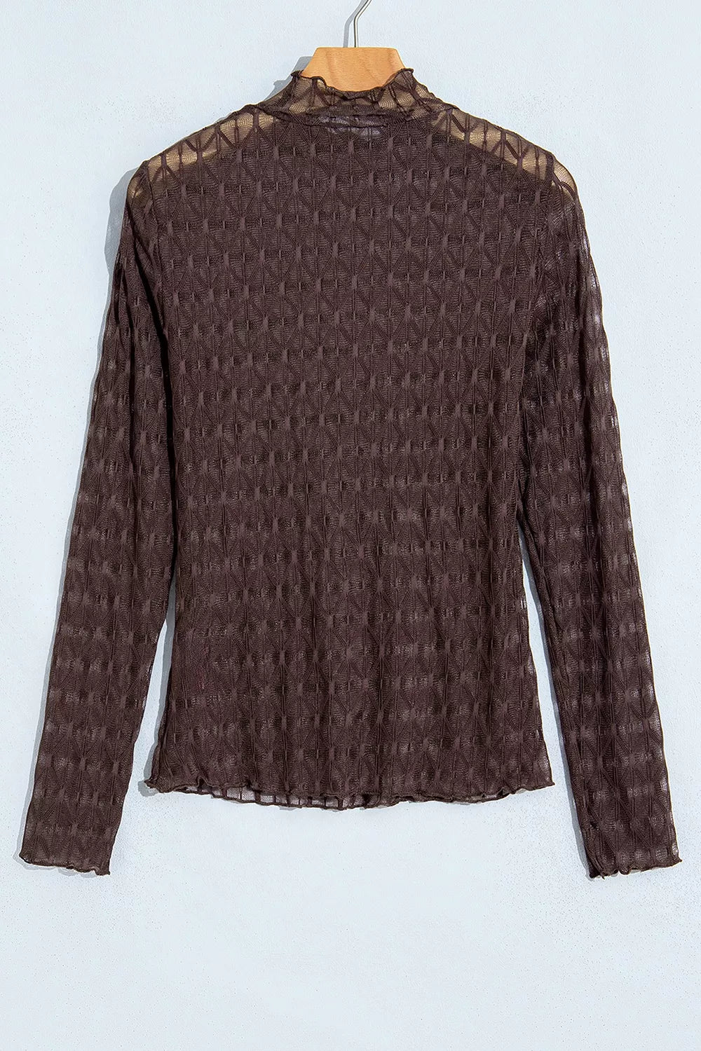 Sheer Textured Lace Stand Neck Long Sleeve Top