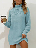 Full Size Turtleneck Fringe Detail Sweater Dress Plus Size