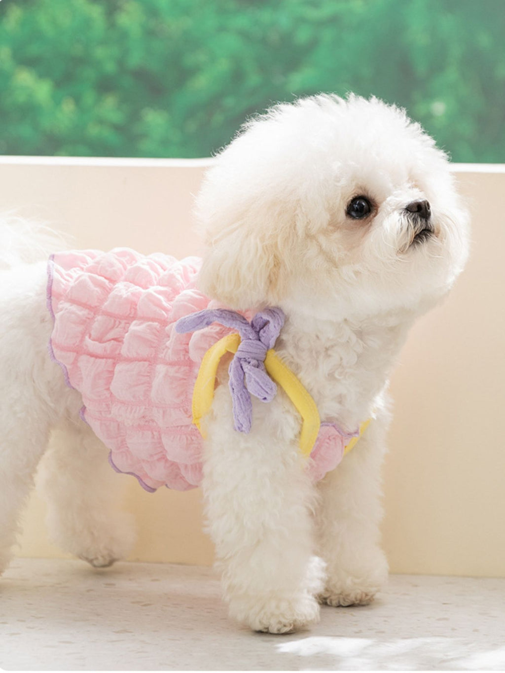 Bubble Textured Tie Shoulder Pet Top